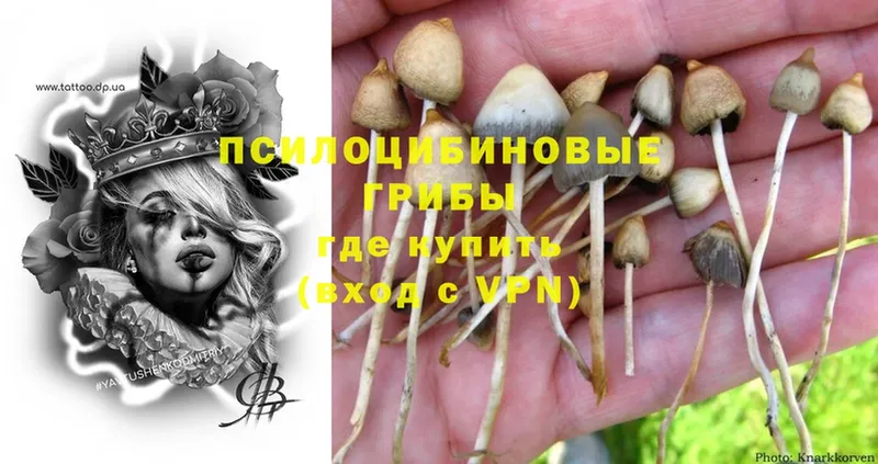 Псилоцибиновые грибы Cubensis  Разумное 